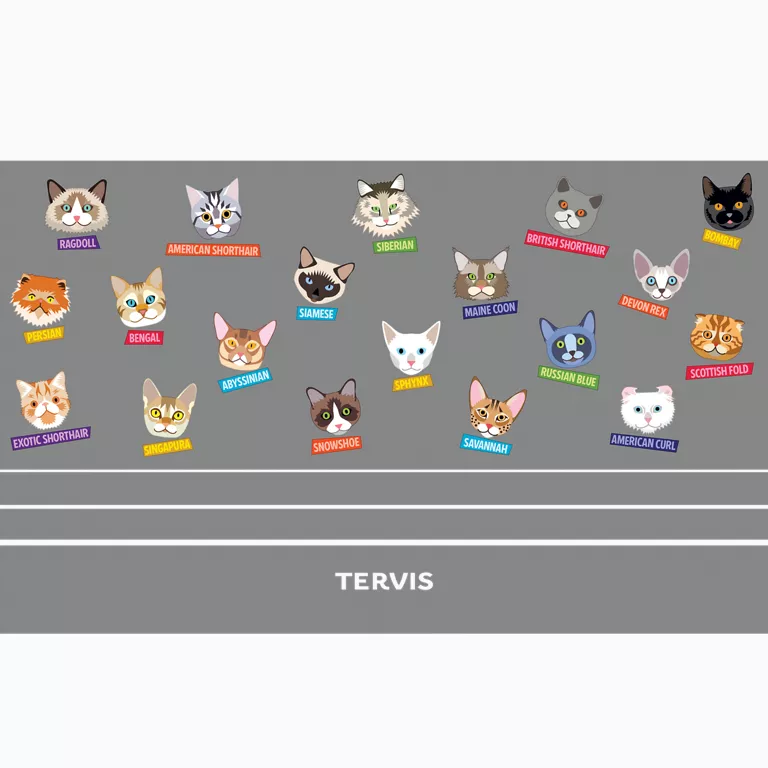 Flat Art Cat - Image 2