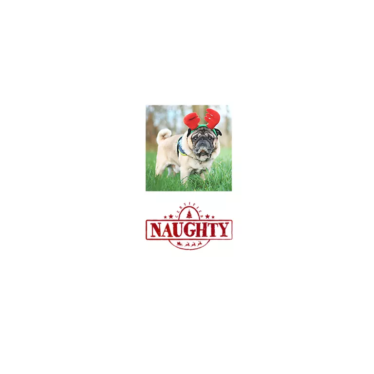 Alternative view of Christmas - On the Naughty List
