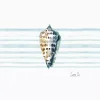 Sara Berrenson - Ocean Keepsakes Tide Cone - Image 2