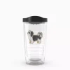 Dogs - My Shih-Tzu