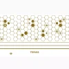 Honey Bees - Golden Nectar - Image 2