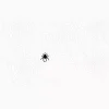 Shimmering Web - Image 2
