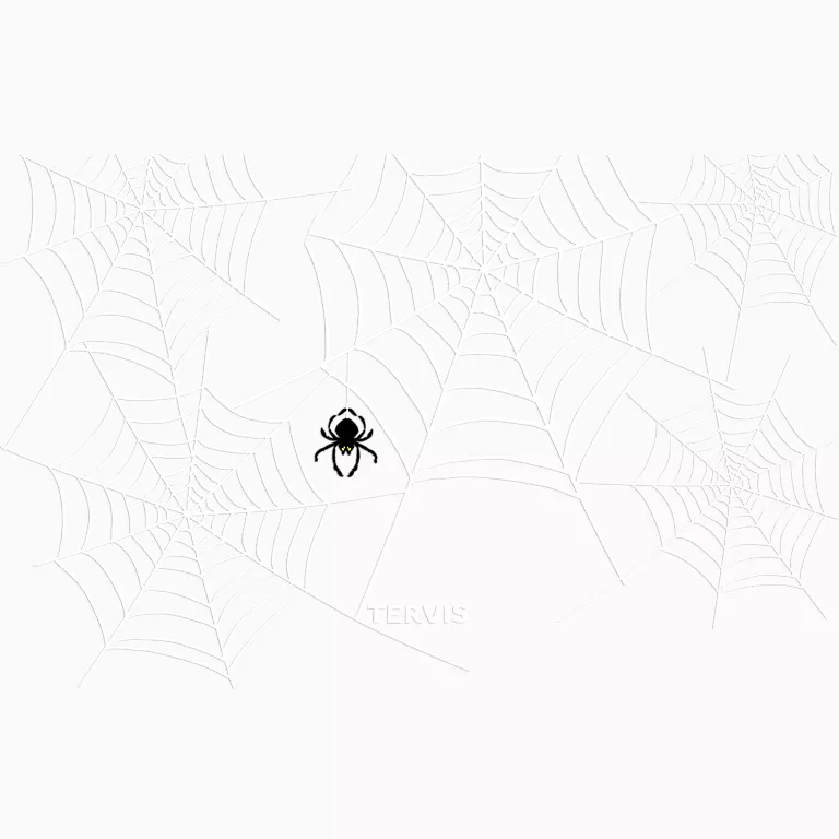 Alternative view of Shimmering Web