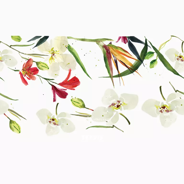 Alternative view of Kelly Ventura - White Orchid Bloom