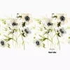 Kelly Ventura - White Wildflower - Image 2