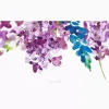 Watercolor Lilacs - Image 2