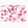 Japanese Cherry Blossom - Image 10