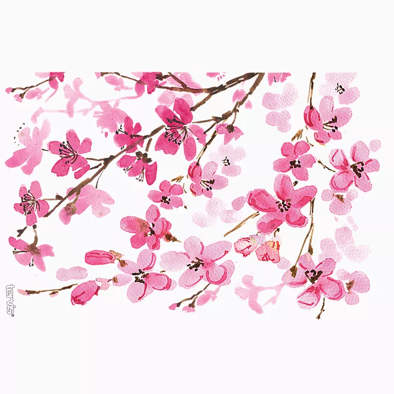 Japanese Cherry Blossom - Image 10