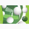 Golf Balls and Club - Image 2