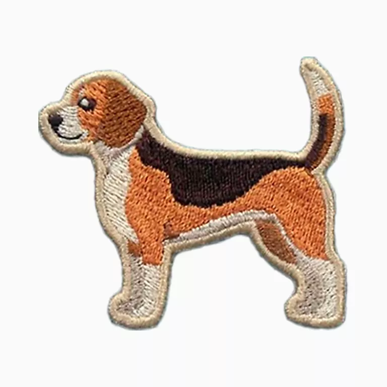 Alternative view of Dogs - My Beagle