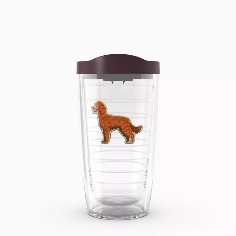 Dogs - My Doodle