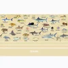 Guy Harvey® - Charts - Image 2