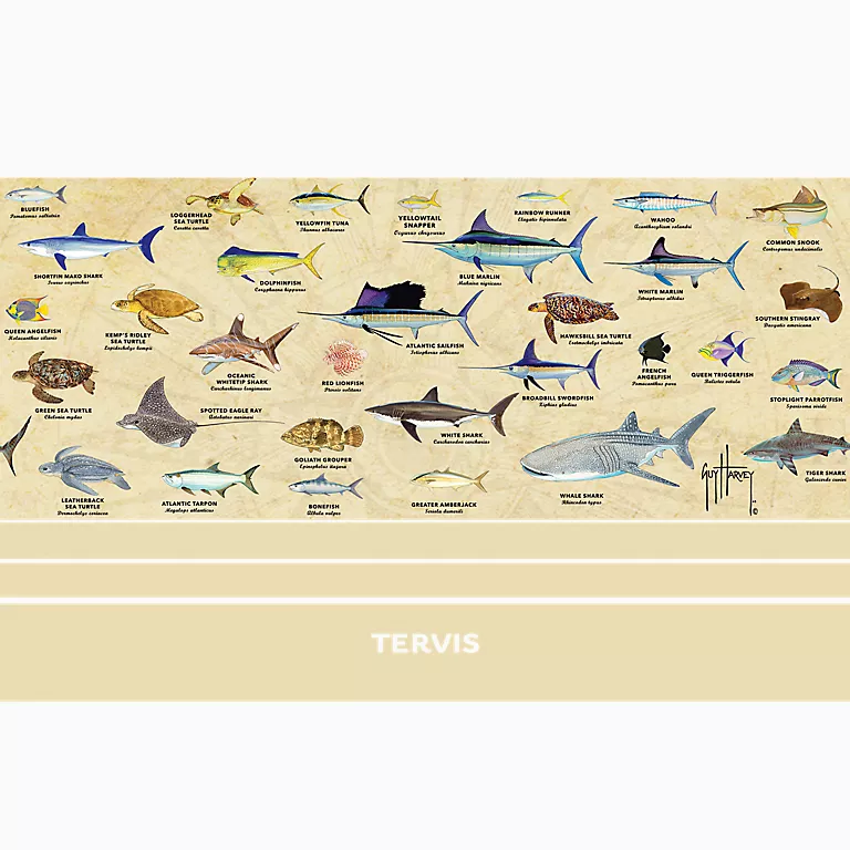 Guy Harvey® - Charts - Image 2