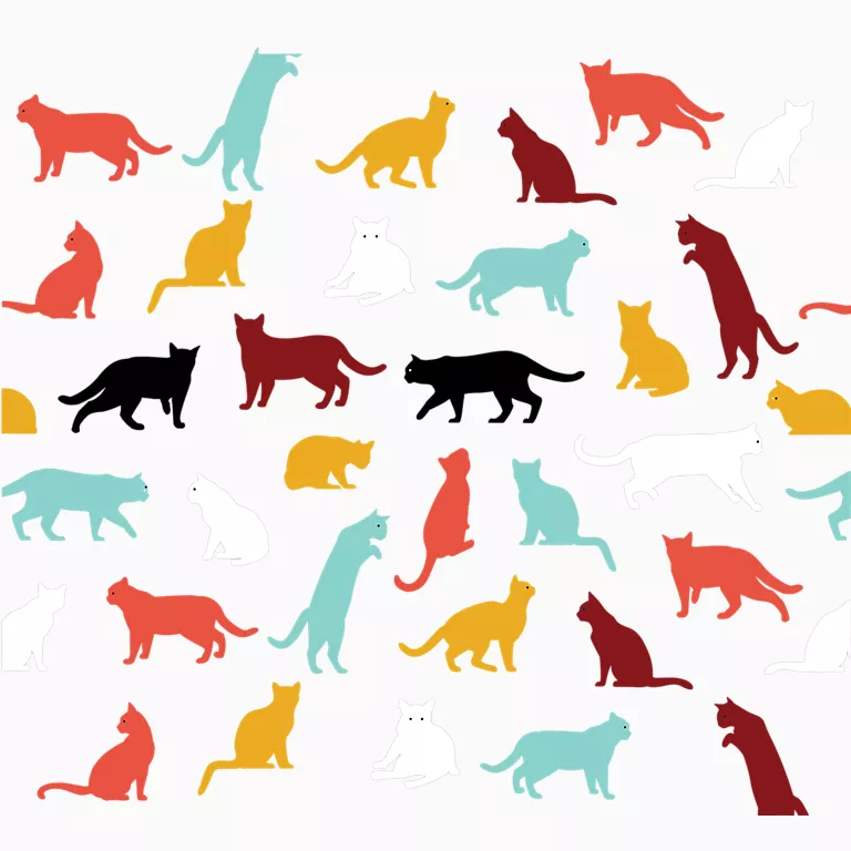 Alternative view of Pounce Love