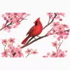 Sakura Cardinal - Image 2