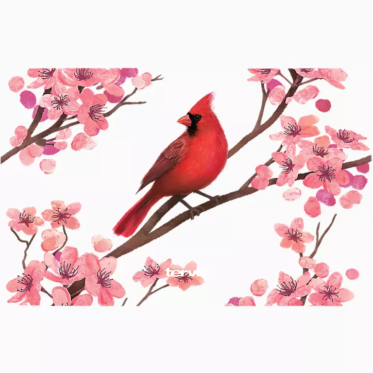 Alternative view of Sakura Cardinal
