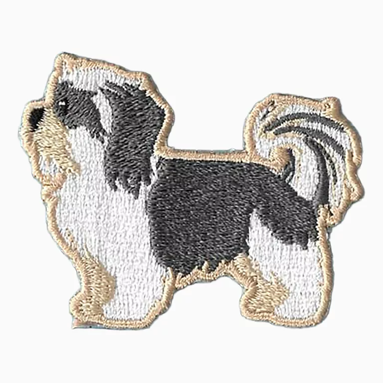 Dogs - My Shih-Tzu - Image 2