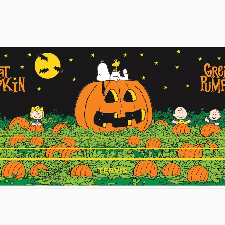 Alternative view of Peanuts™ - Great Pumpkin Fright