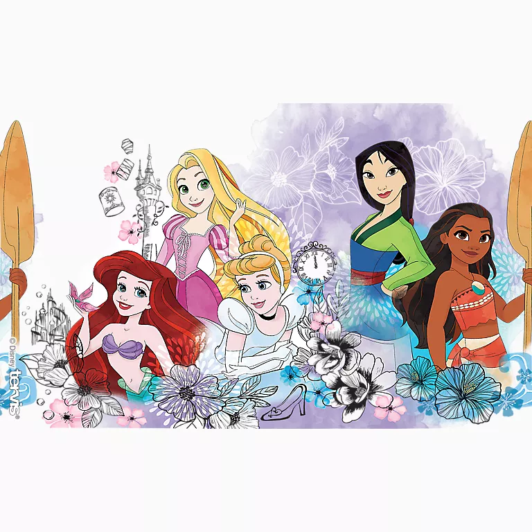 Alternative view of Disney - Princess Group