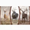 Deer Trio - Image 2