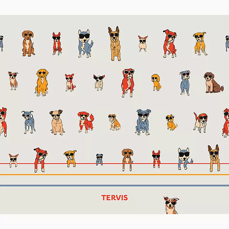 Alternative view of Paws and Shades