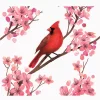 Sakura Cardinal - Image 2
