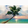 Sunset in Paradise - Image 2