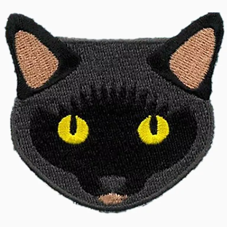 Alternative view of My Black Cat