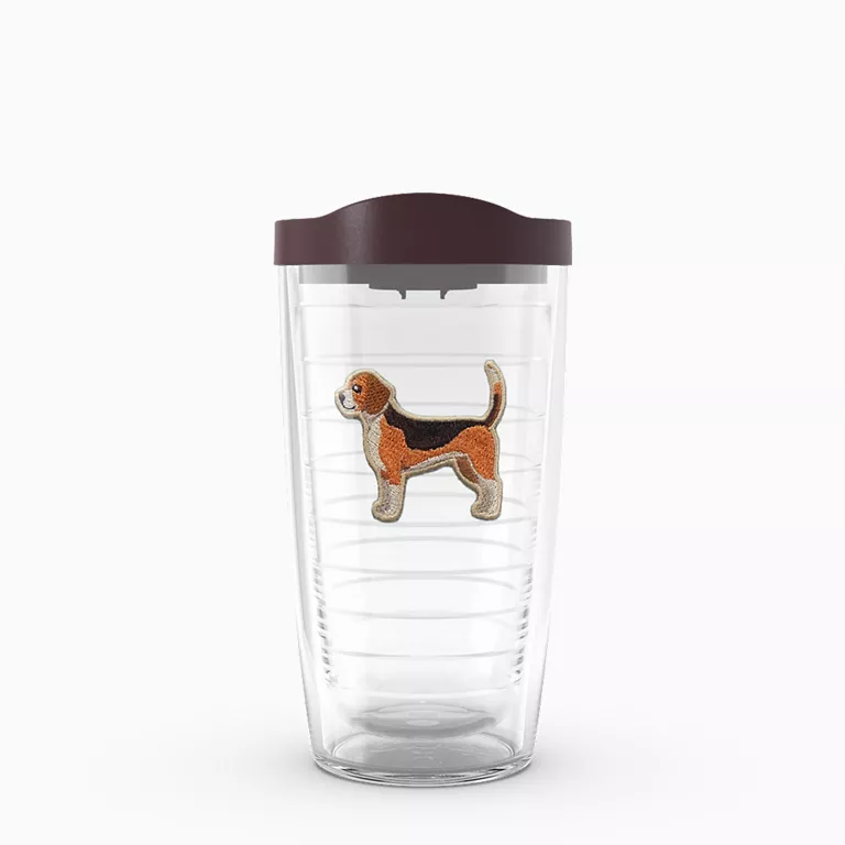 Dogs - My Beagle