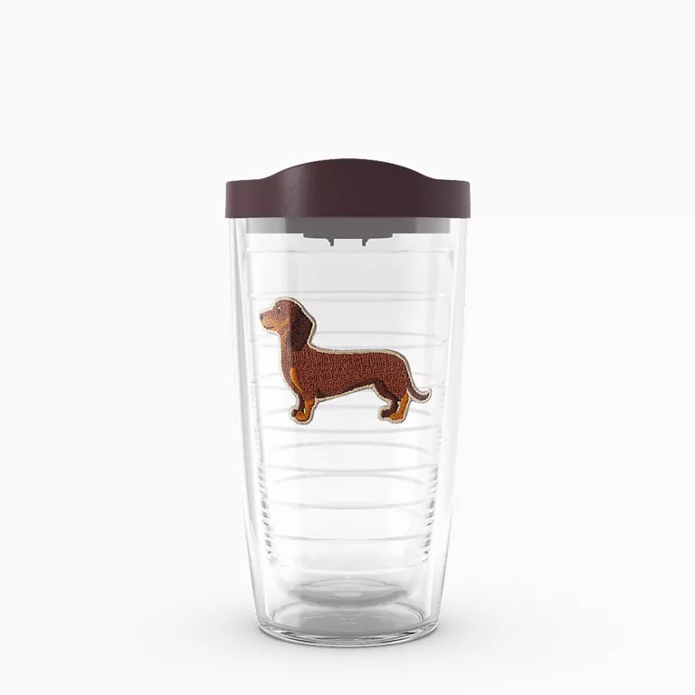 Dogs - My Dachshund