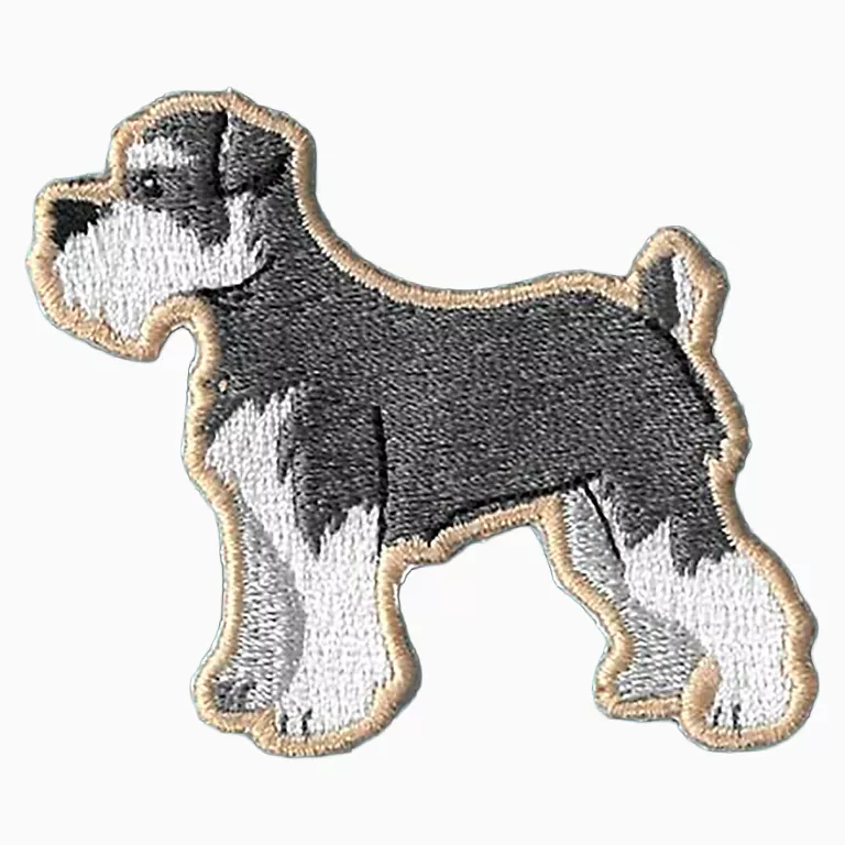 Alternative view of Dogs - My Schnauzer
