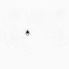 Shimmering Web - Image 5