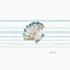Sara Berrenson - Ocean Keepsakes Sand Scallop - Image 2