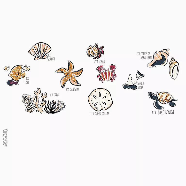 Alternative view of Shore Search