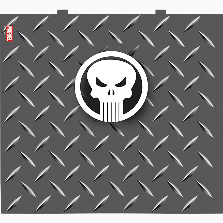 Alternative view of Marvel - Punisher