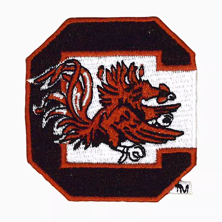 South Carolina Gamecocks - Primary Logo - Image 2