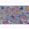 Butterfly Garden - Image 2