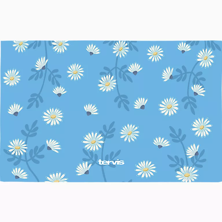Alternative view of Skyfall Daisies