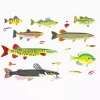 Freshwater Fish and Lures - Image 2