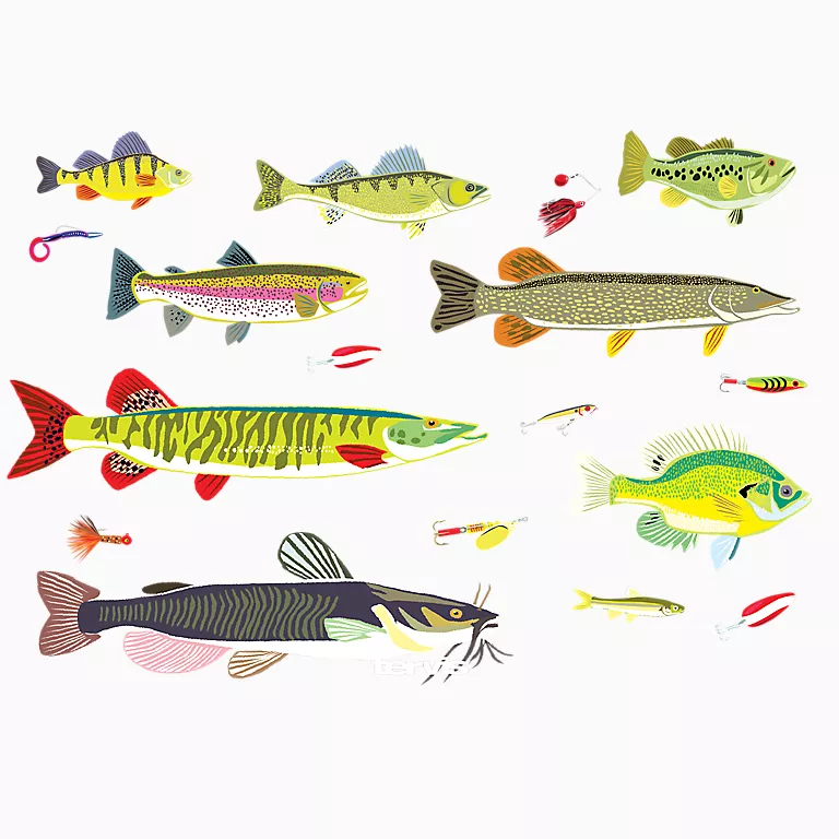 Alternative view of Freshwater Fish and Lures