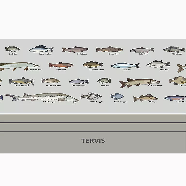 Fish - School ID - Image 2