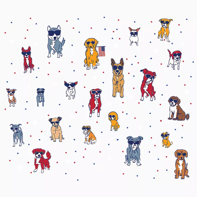 Patriot's Best Friend - Image 2