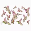 Hummingbirds - Image 2