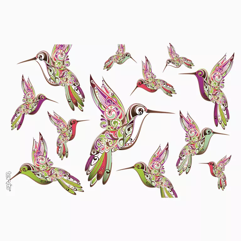 Alternative view of Hummingbirds