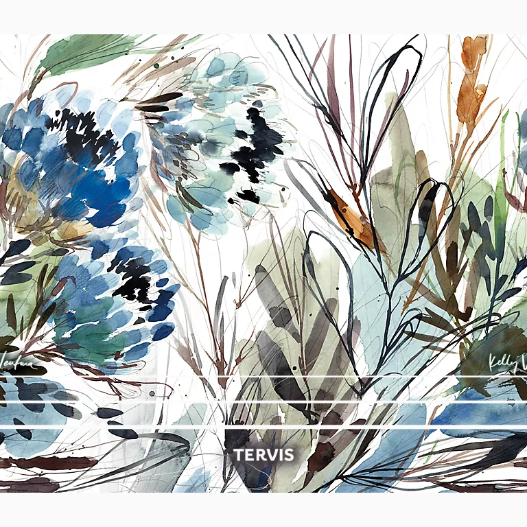 Alternative view of Kelly Ventura - Protea