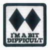 Ski Level - Black Diamond - Image 2