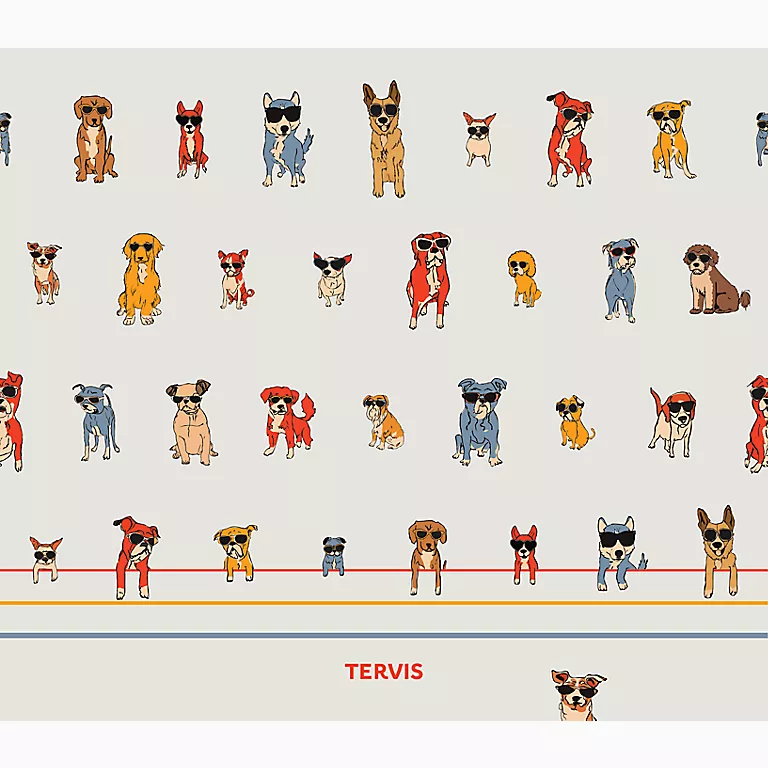 Paws and Shades - Image 7
