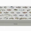 Fish - School ID - Image 4