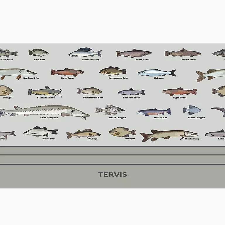 Fish - School ID - Image 4