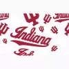 Indiana Hoosiers - All Over - Image 2